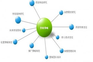 營銷策劃機構的服務內容與市場營銷策劃